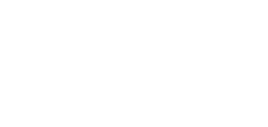 Timber Shores branding